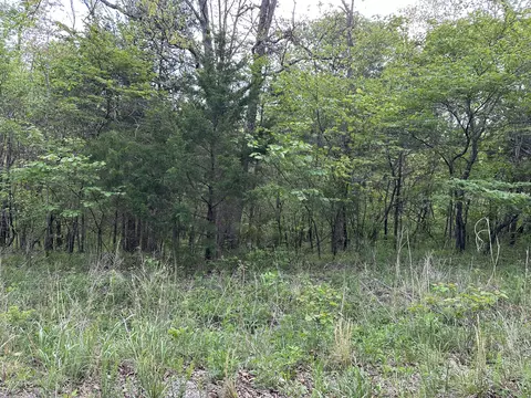 000 Falling Rock Rd, Elkland, MO 65644