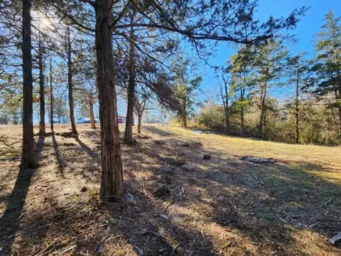 229 Redbud St, Hollister, MO 65672