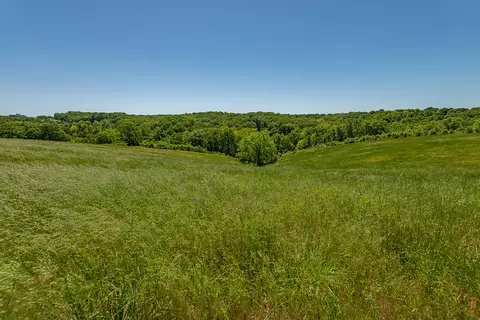 Other - 449 Greenway Dr, Galena, MO 65656 photo 21 of 21