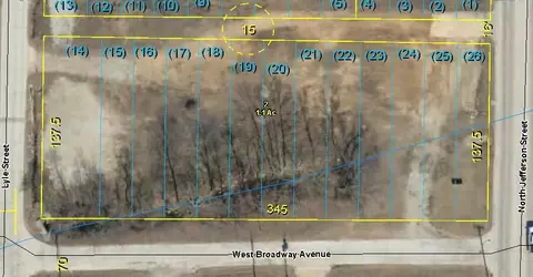 1003 N Jefferson St #PARCELS 1 & 2, Ava, MO 65608 photo 8