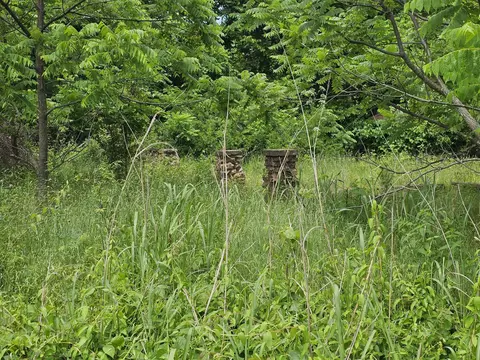 000 State Highway K, Everton, MO 65646 photo 3