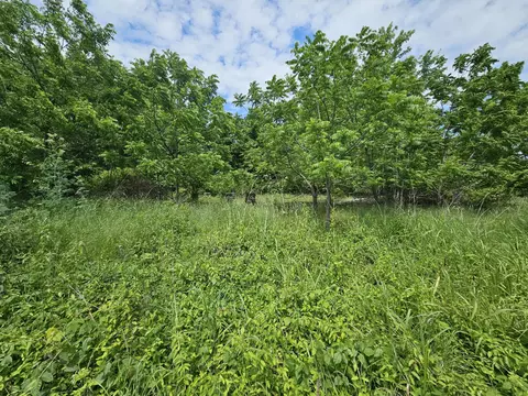 000 State Highway K, Everton, MO 65646