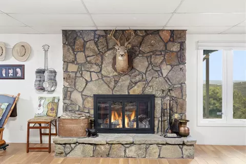 Other - 46 Acoma Dr, Branson West, MO 65737 photo 6 of 21