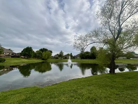View/Area - 607 E Falls Cir, Ozark, MO 65721 photo 4 of 6