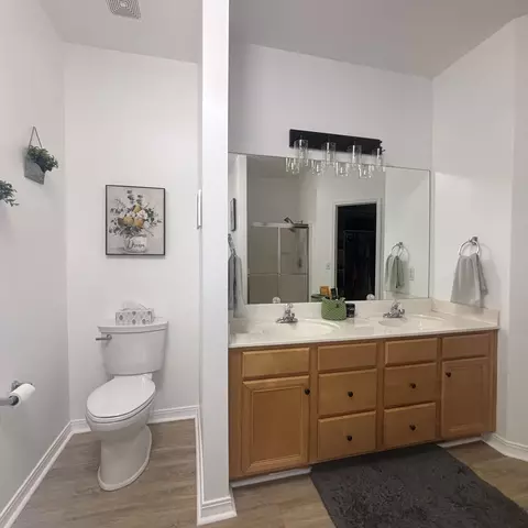 Bath - 607 E Falls Cir, Ozark, MO 65721 photo 2 of 3