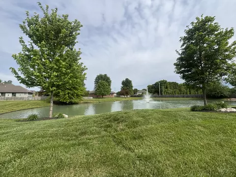 View/Area - 607 E Falls Cir, Ozark, MO 65721 photo 6 of 6