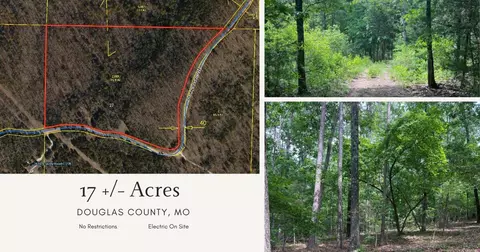 000 County Road C-228, Norwood, MO 65717