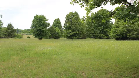 Other - 3043 E Southernview Rd, Ozark, MO 65721 photo 6 of 9