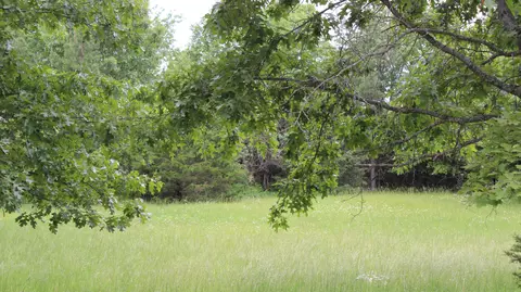 Exterior - 3043 E Southernview Rd, Ozark, MO 65721 photo 12 of 15