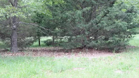 Other - 3043 E Southernview Rd, Ozark, MO 65721 photo 4 of 9
