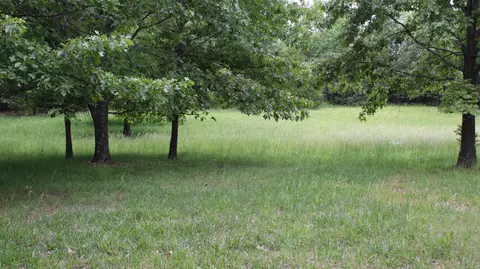 Other - 3043 E Southernview Rd, Ozark, MO 65721 photo 5 of 9