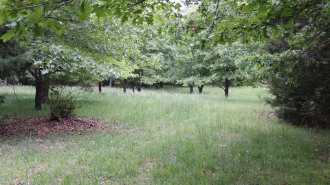 Exterior - 3043 E Southernview Rd, Ozark, MO 65721 photo 11 of 15