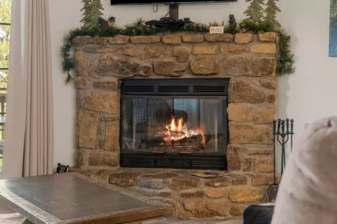 Living - 75 Leaning Tree Cir #4, Indian Point, MO 65616 photo 3 of 4