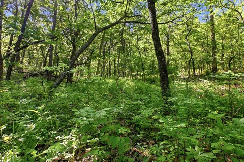 000 Angus Rd, Edwards, MO 65326 photo 57