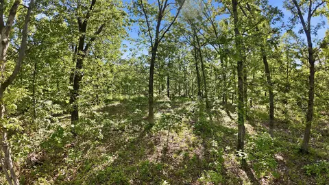 000 Angus Rd, Edwards, MO 65326 photo 31