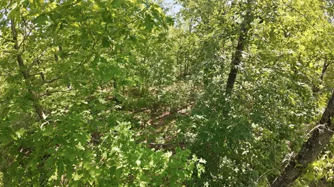 000 Angus Rd, Edwards, MO 65326 photo 28