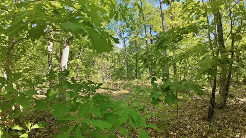 000 Angus Rd, Edwards, MO 65326 photo 27