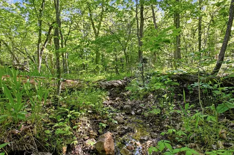 000 Angus Rd, Edwards, MO 65326 photo 53