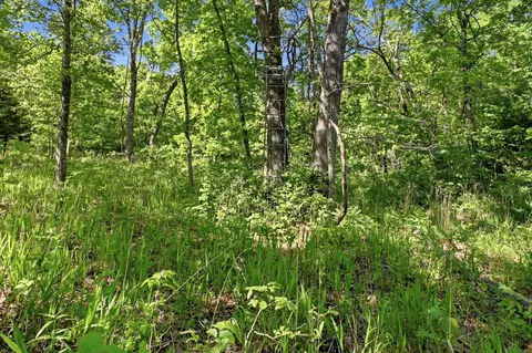 000 Angus Rd, Edwards, MO 65326 photo 58