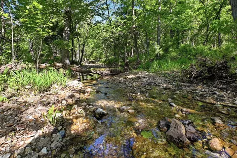 000 Angus Rd, Edwards, MO 65326 photo 60