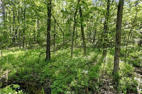 000 Angus Rd, Edwards, MO 65326 photo 55