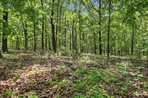 000 Angus Rd, Edwards, MO 65326 photo 72