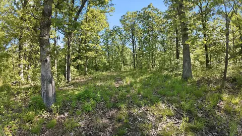 000 Angus Rd, Edwards, MO 65326 photo 42