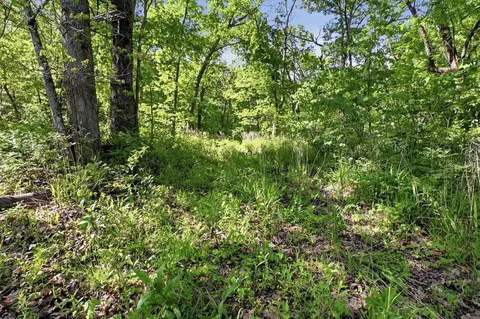000 Angus Rd, Edwards, MO 65326 photo 59