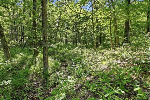 000 Angus Rd, Edwards, MO 65326 photo 54