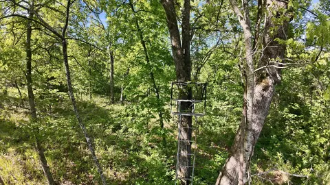 000 Angus Rd, Edwards, MO 65326 photo 32