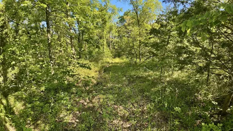 000 Angus Rd, Edwards, MO 65326 photo 35