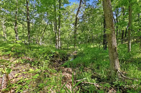 000 Angus Rd, Edwards, MO 65326 photo 56