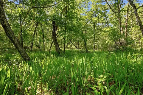 000 Angus Rd, Edwards, MO 65326 photo 52