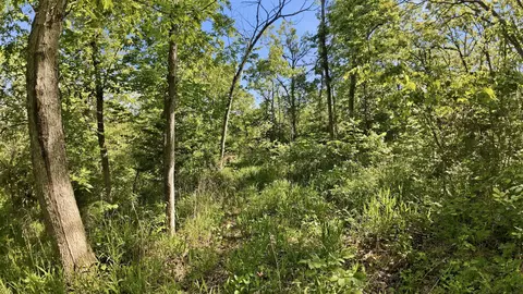 000 Angus Rd, Edwards, MO 65326 photo 37