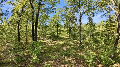 000 Angus Rd, Edwards, MO 65326 photo 30