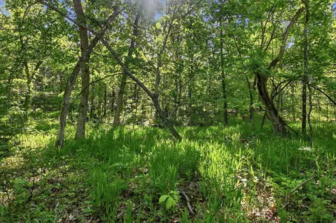 000 Angus Rd, Edwards, MO 65326 photo 50