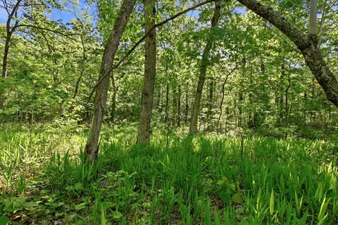 000 Angus Rd, Edwards, MO 65326 photo 51