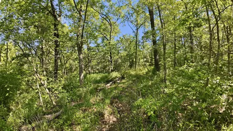 000 Angus Rd, Edwards, MO 65326 photo 36