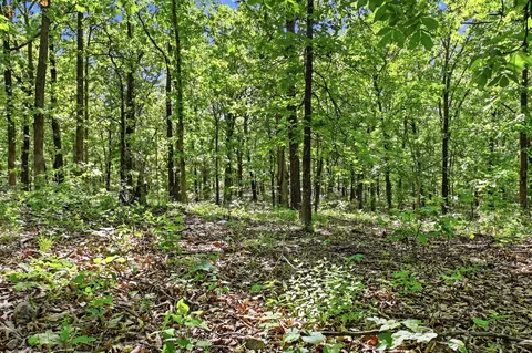 000 Angus Rd, Edwards, MO 65326 photo 73
