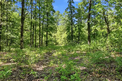 000 Angus Rd, Edwards, MO 65326 photo 74