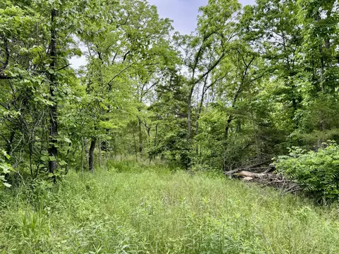 000 Cottengim Rd, Macomb, MO 65702 photo 13