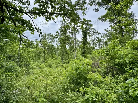 000 Cottengim Rd, Macomb, MO 65702 photo 12