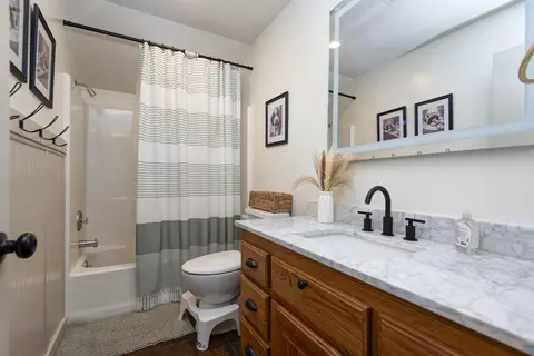 Bath - 295 Oak Tree Ln, Ozark, MO 65721 photo 4 of 4