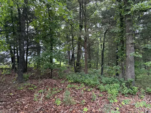 Exterior - 3187 State Highway Hh, Goodson, MO 65663 photo 5 of 8
