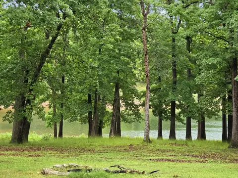 Other - 26 Cave Ln #20, Branson, MO 65616 photo 9 of 9