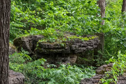Other - 27278 Timber Springs Rd, Shell Knob, MO 65747 photo 2 of 9