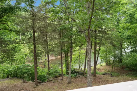 View/Area - 27278 Timber Springs Rd, Shell Knob, MO 65747 photo 4 of 10