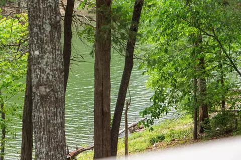 View/Area - 27278 Timber Springs Rd, Shell Knob, MO 65747 photo 5 of 10