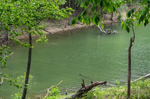 View/Area - 27278 Timber Springs Rd, Shell Knob, MO 65747 photo 1 of 10