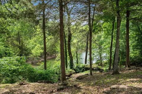 View/Area - 27278 Timber Springs Rd, Shell Knob, MO 65747 photo 7 of 10